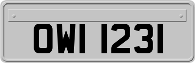 OWI1231