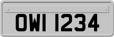 OWI1234
