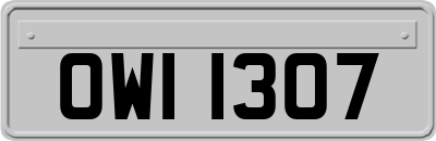 OWI1307
