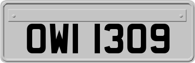 OWI1309