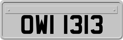 OWI1313