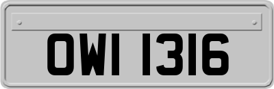 OWI1316