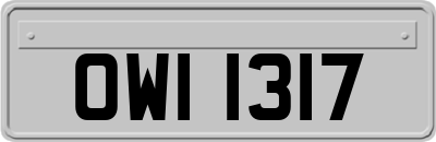 OWI1317