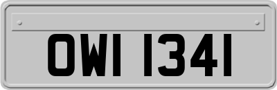 OWI1341