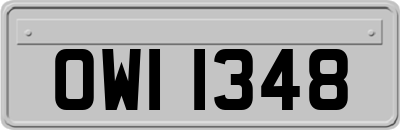 OWI1348