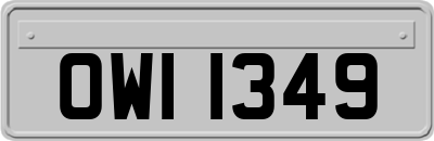 OWI1349