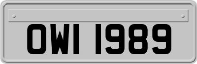 OWI1989