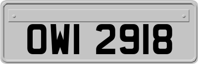 OWI2918