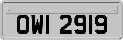 OWI2919