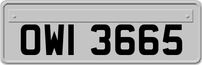 OWI3665