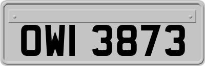 OWI3873