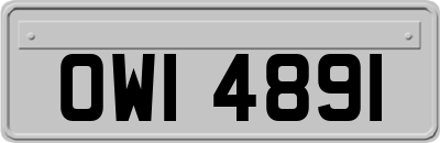 OWI4891