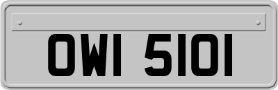 OWI5101