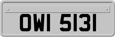 OWI5131
