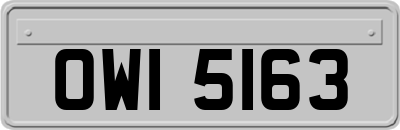 OWI5163