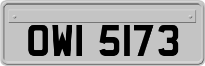 OWI5173