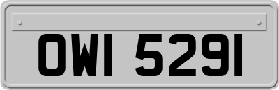 OWI5291