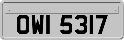 OWI5317