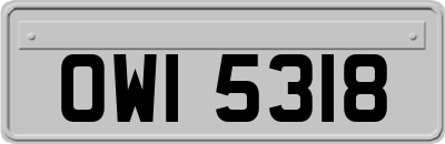OWI5318