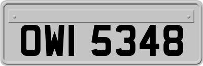 OWI5348