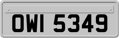 OWI5349