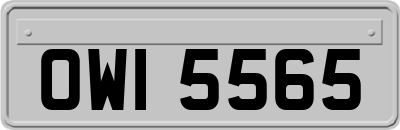 OWI5565
