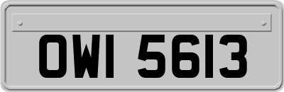 OWI5613