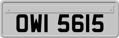 OWI5615