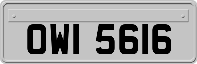 OWI5616