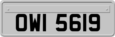 OWI5619
