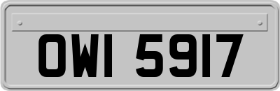 OWI5917