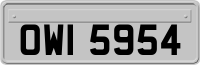 OWI5954