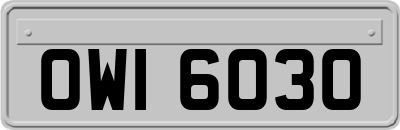OWI6030