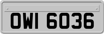OWI6036