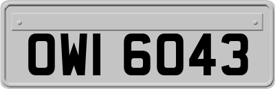 OWI6043