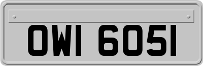 OWI6051