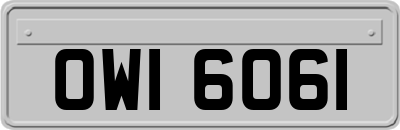 OWI6061