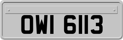 OWI6113