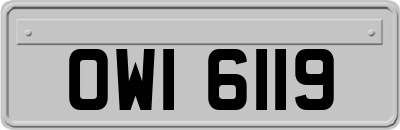 OWI6119