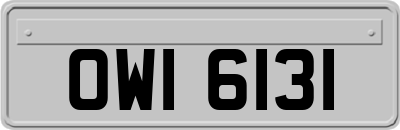 OWI6131