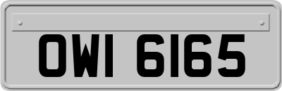 OWI6165