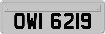 OWI6219