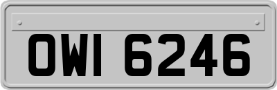 OWI6246