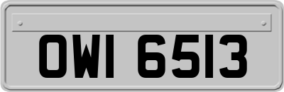 OWI6513
