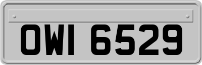 OWI6529