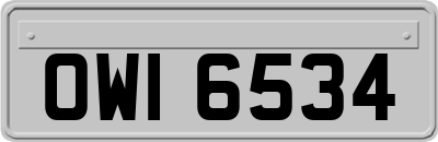 OWI6534