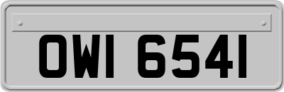 OWI6541