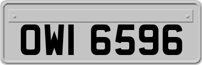 OWI6596