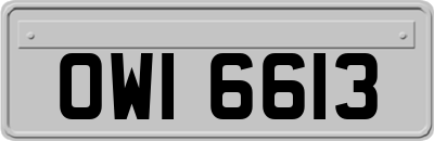 OWI6613
