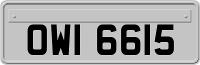 OWI6615